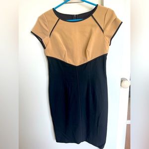 Ann Taylor fitted sheath dress